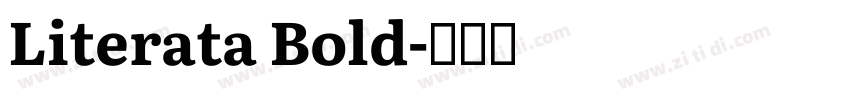 Literata Bold字体转换